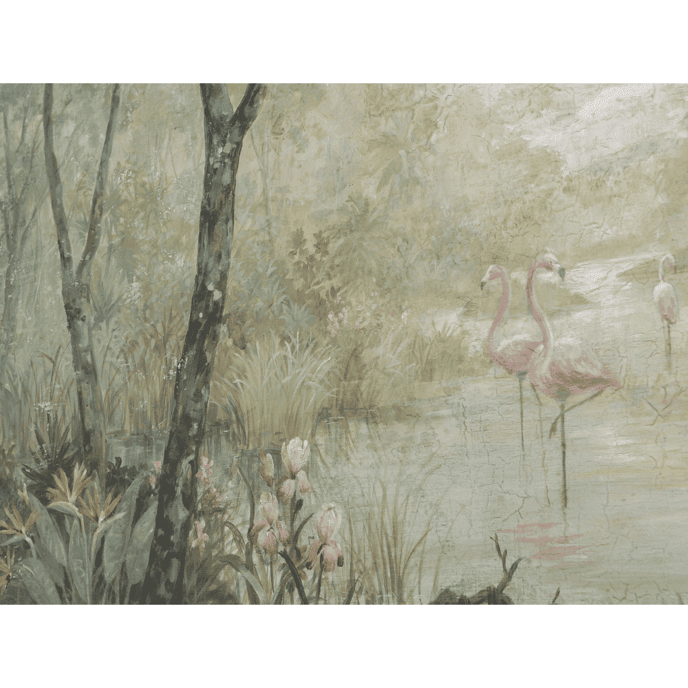 Flamencos - Imagen 3