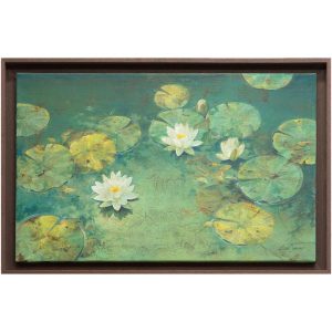 Nenúfares de Venezuela