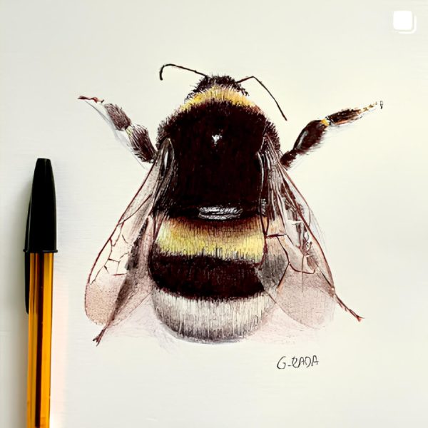 Abeja