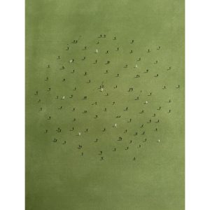 Ciclo - Guillermo Ibáñez | Helarea