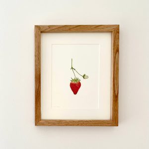 Fresa, Fragaria - María Gil Cabrero | Helarea