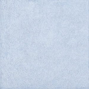 Y Dios dijo: Haya expansión en medio de las aguas…