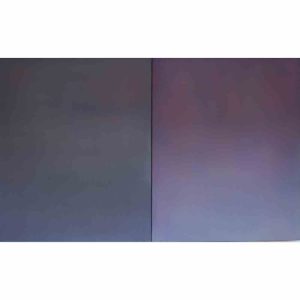 Entre la niebla y el olvido